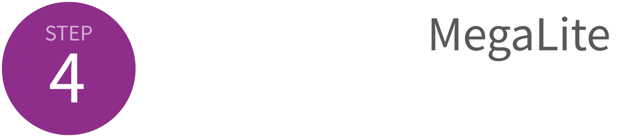 Step4-於分類選擇MegaLite後，即可開始申購標的